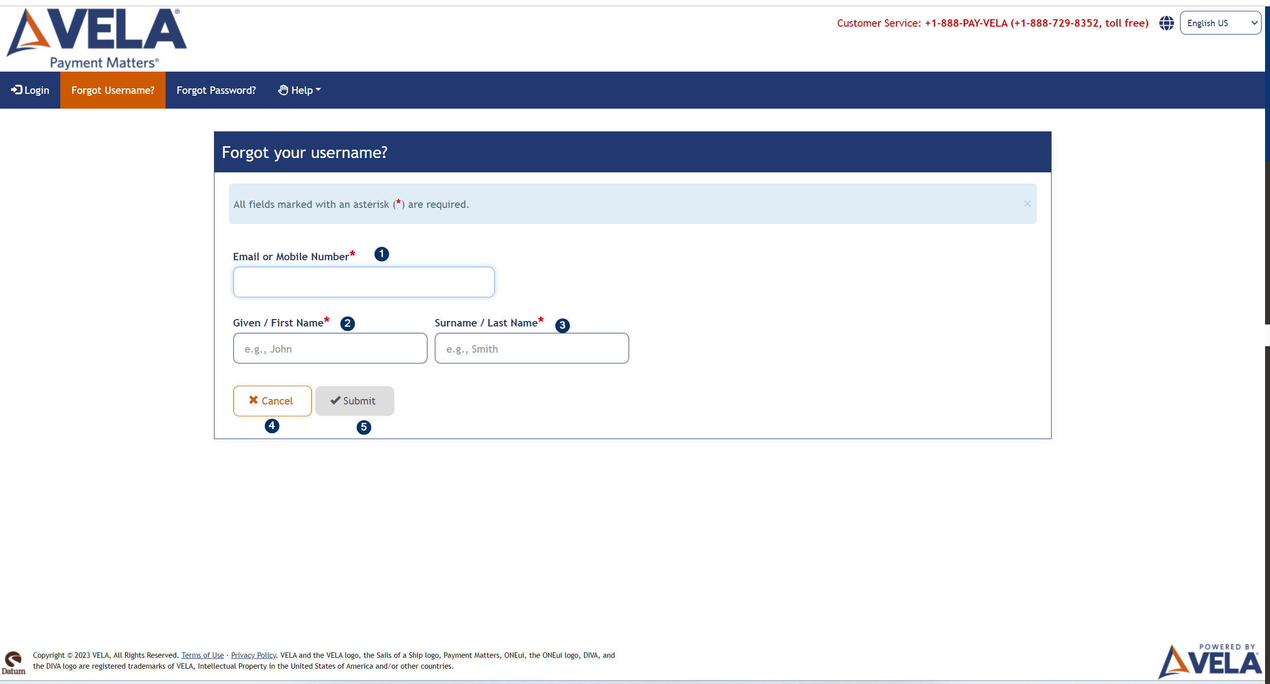 Forgot Username screen fields